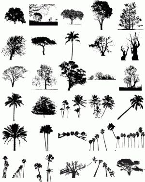 silhouette tree vectors vector palm svg trees snap2objects leaves drawings silhouettes downloads graphics