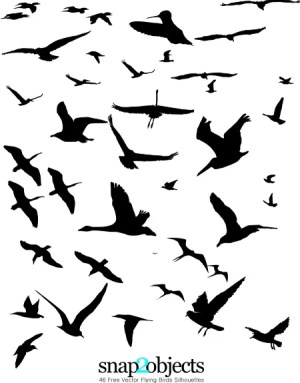 birds silhouettes flying snap2objects
