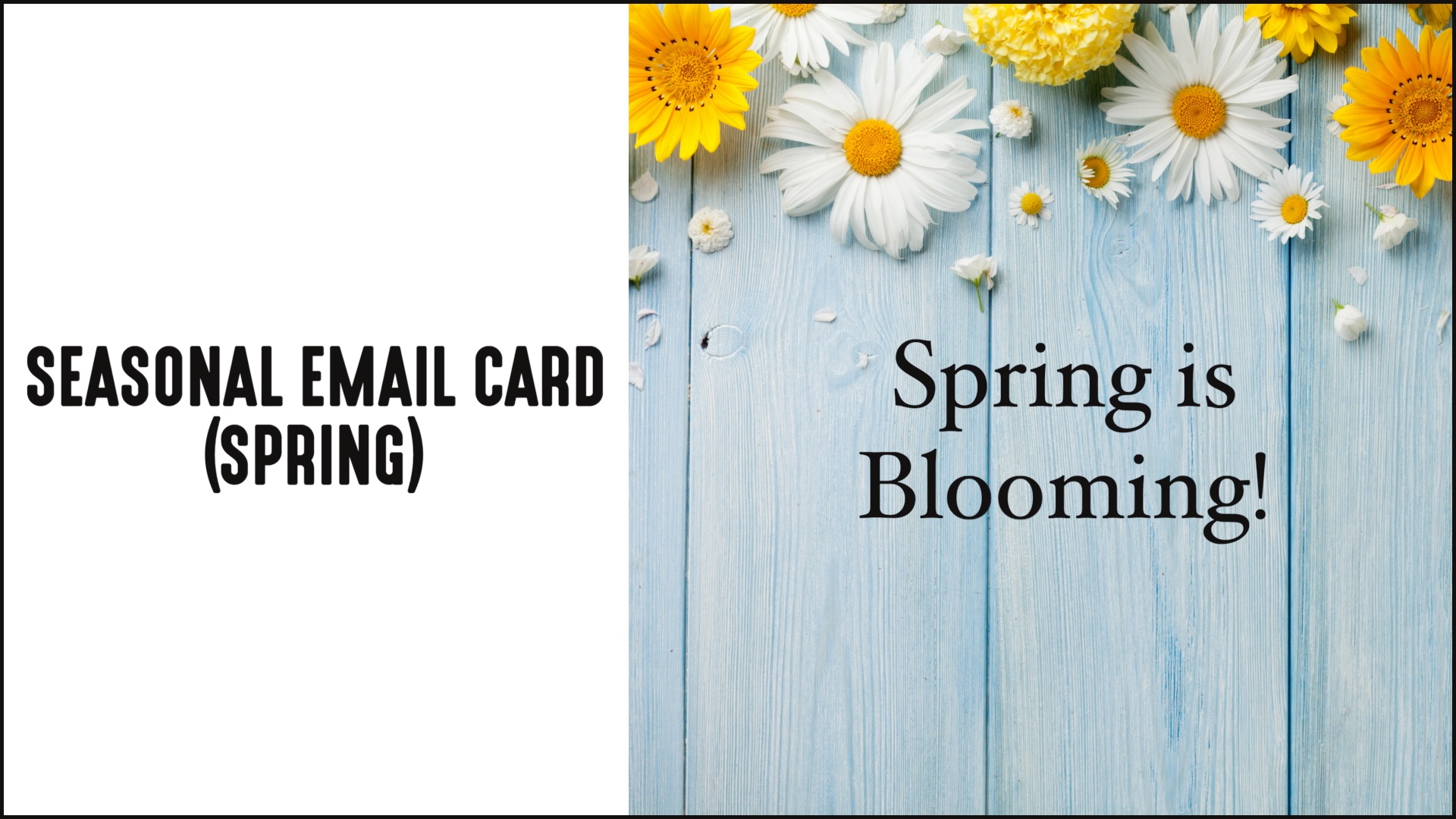 Demand Spring Aternity Email Template - Ultra HD Ultra HD Abstract Designs | Free Download