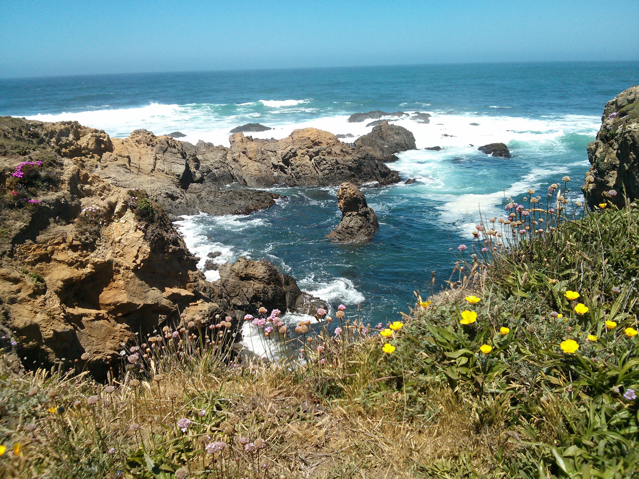 Mendocino 2013
