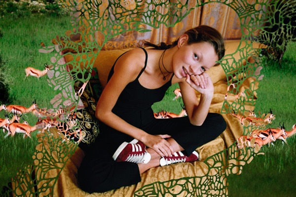 9月8日発売予定 adidas Originals GAZELLE リローンチ・コラボ