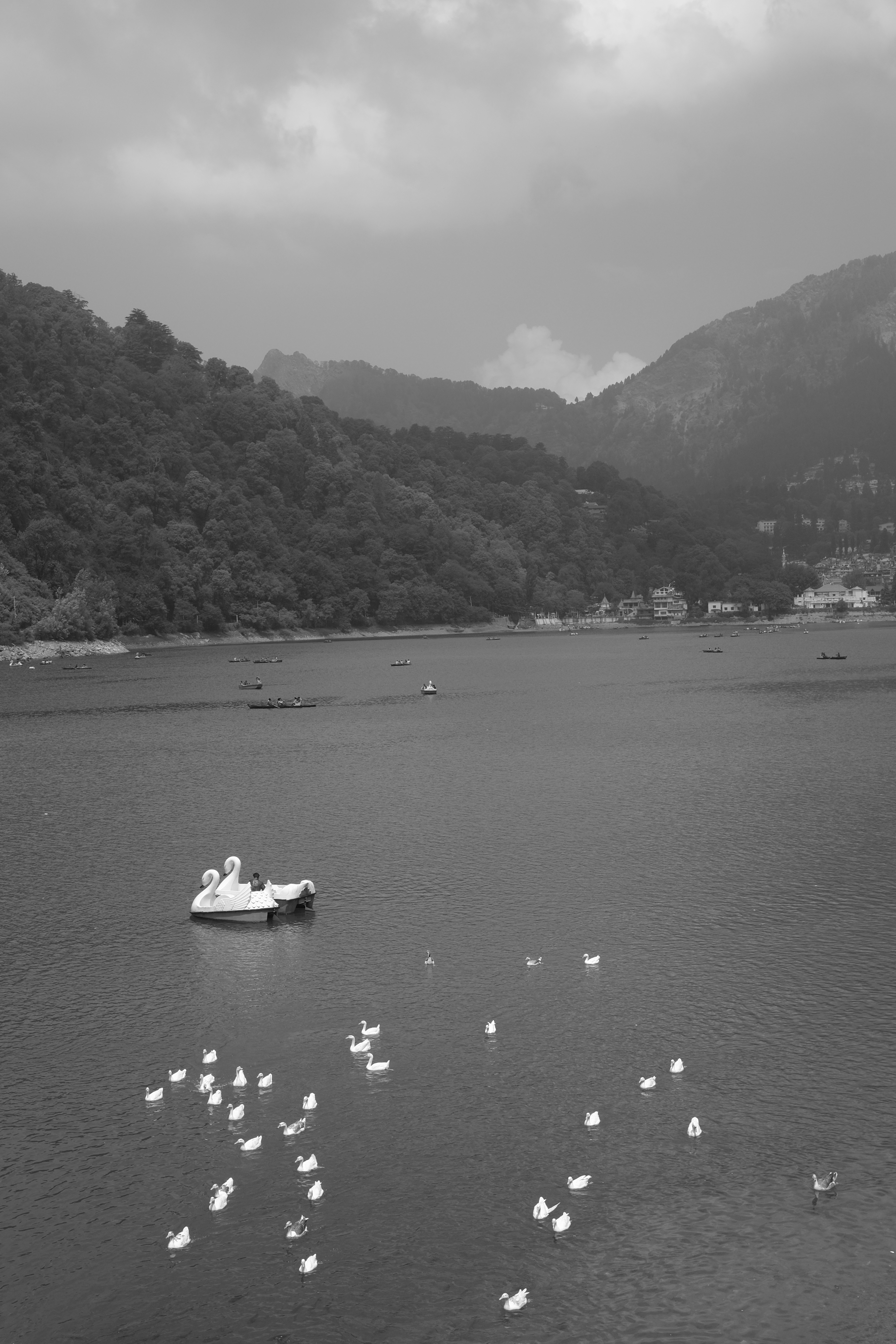 DSCF1673