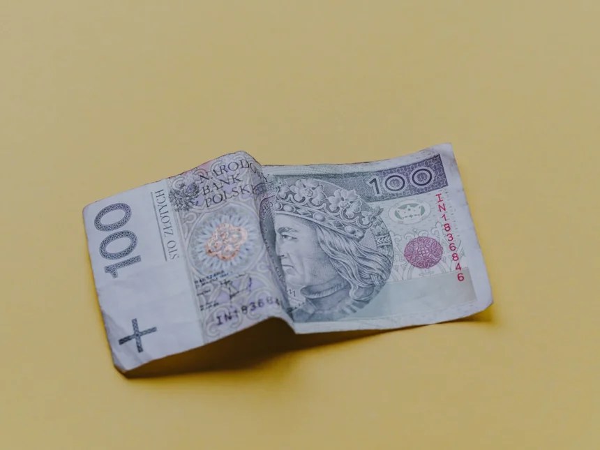 저신용자 소액 비대면 대출, 승인된 방식 비교 Microloan