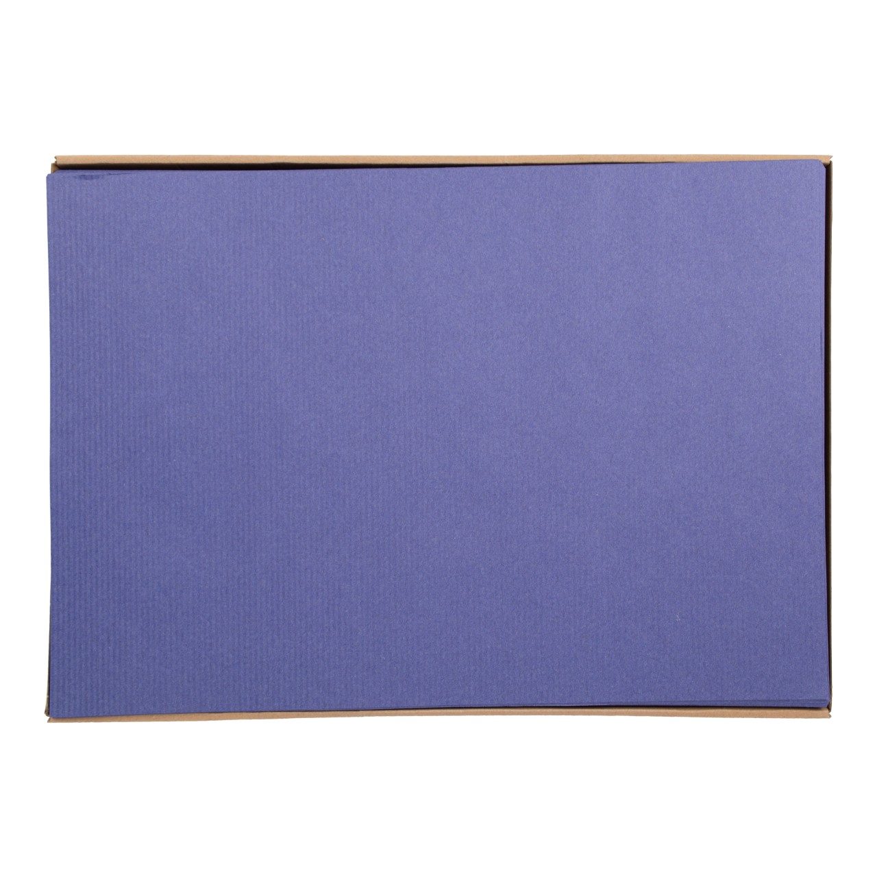 Placemats 30 x 43 cm blauw