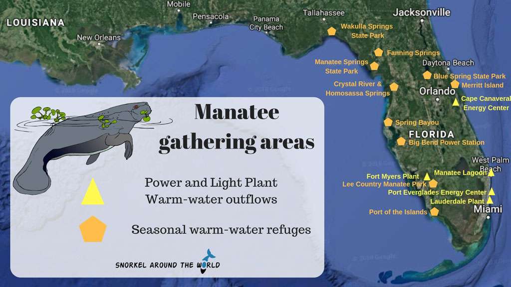 Manatees Habitat Map Manatee Florida Map 