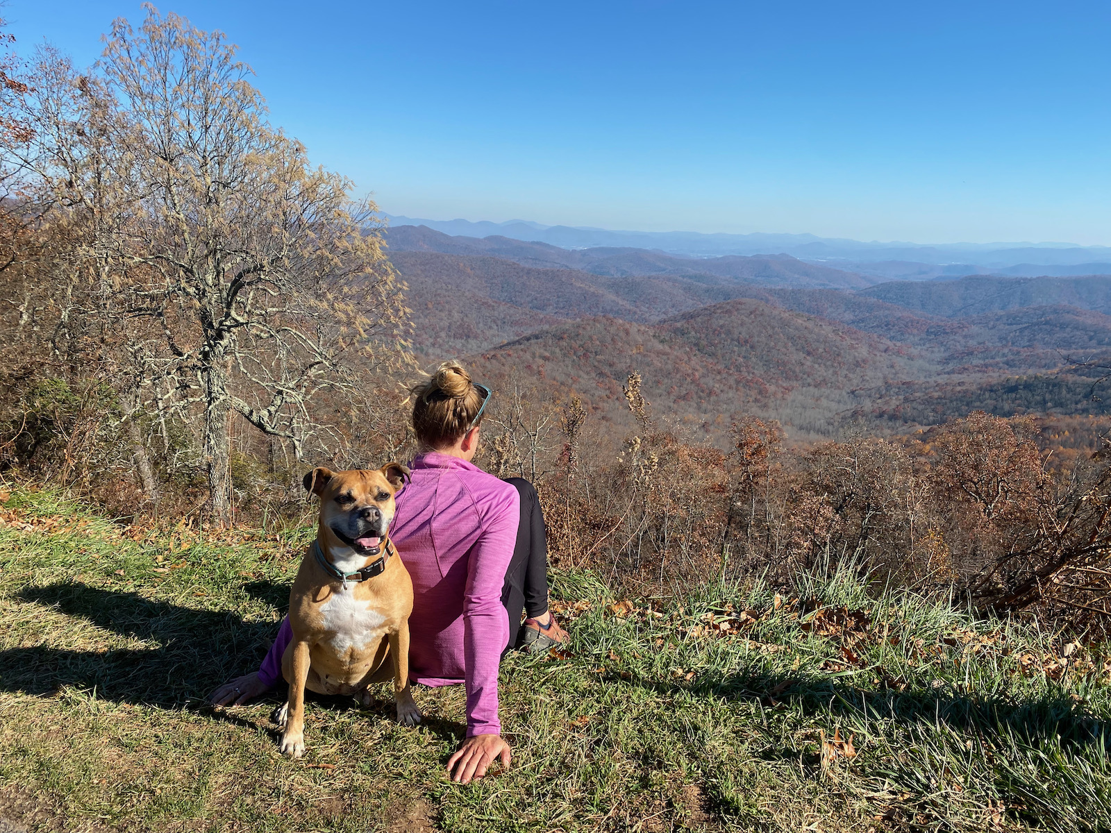 Three days in Asheville, NC (visit #10)–Quickie Fall Loop