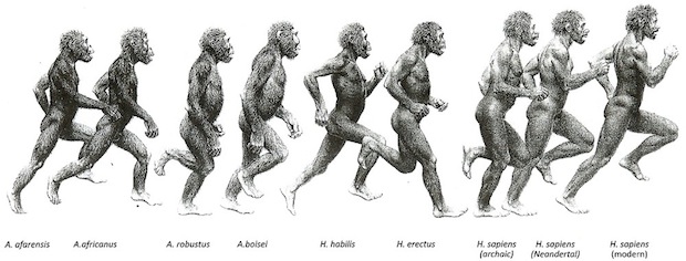 Run from the hair.