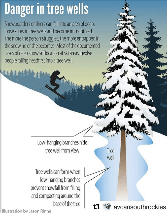 How To Not Die In A Tree Well