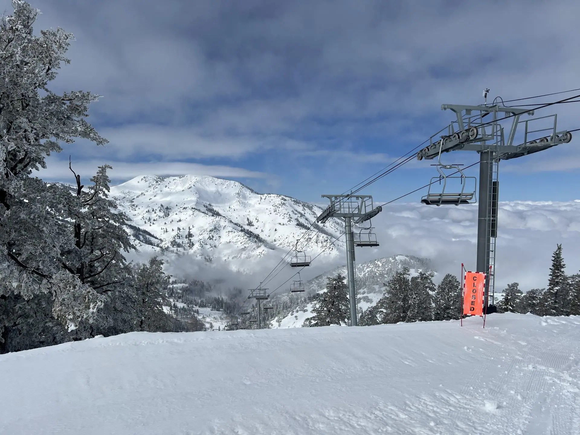 Powder Mountain, UT, Report: Skiing the Best Powder in North