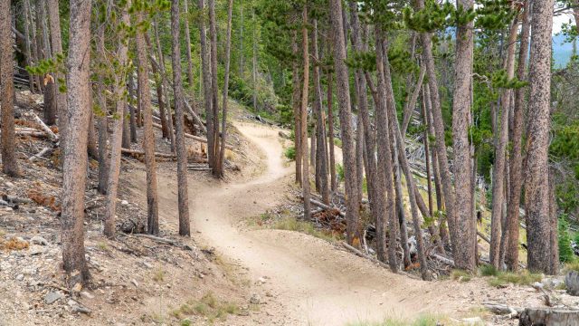 Keystone Let It Ride 1