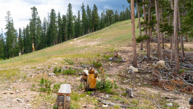 Keystone Let It Ride Bench