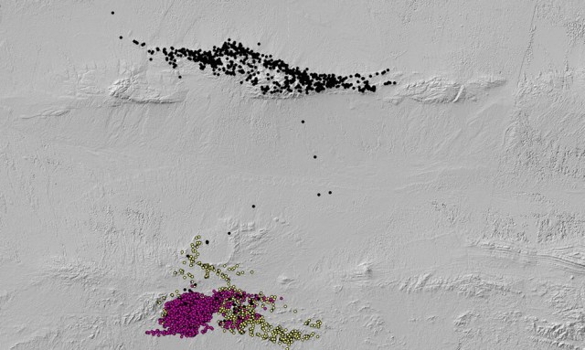 We tracked Aylagch (black), a subadult male cat, as he dispersed from his mother, Kashaa (yellow), and moved across 40km of steppe from Tost Mountains in the South to Nemegt Mountains in the North, where he eventually settled. Illustration: SLT