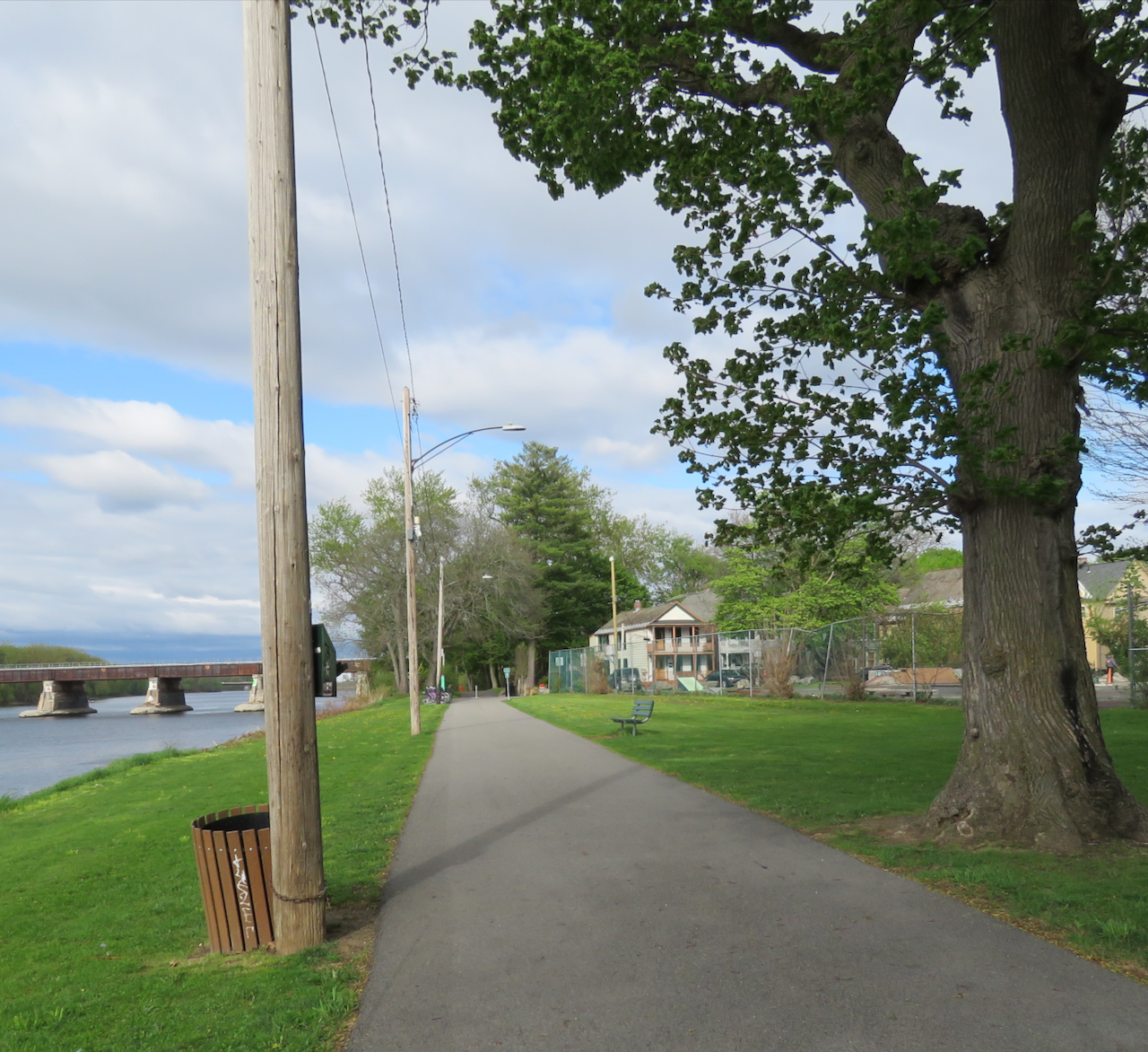 PathAtNorthEPole&Can&Tree