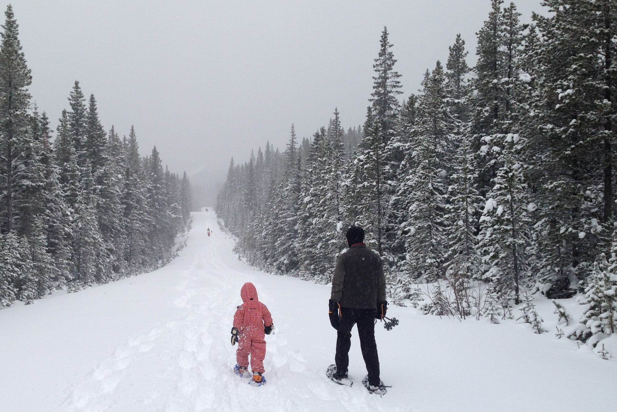 Off the Beaten Path in Waterton Lakes National Park A Family Winter