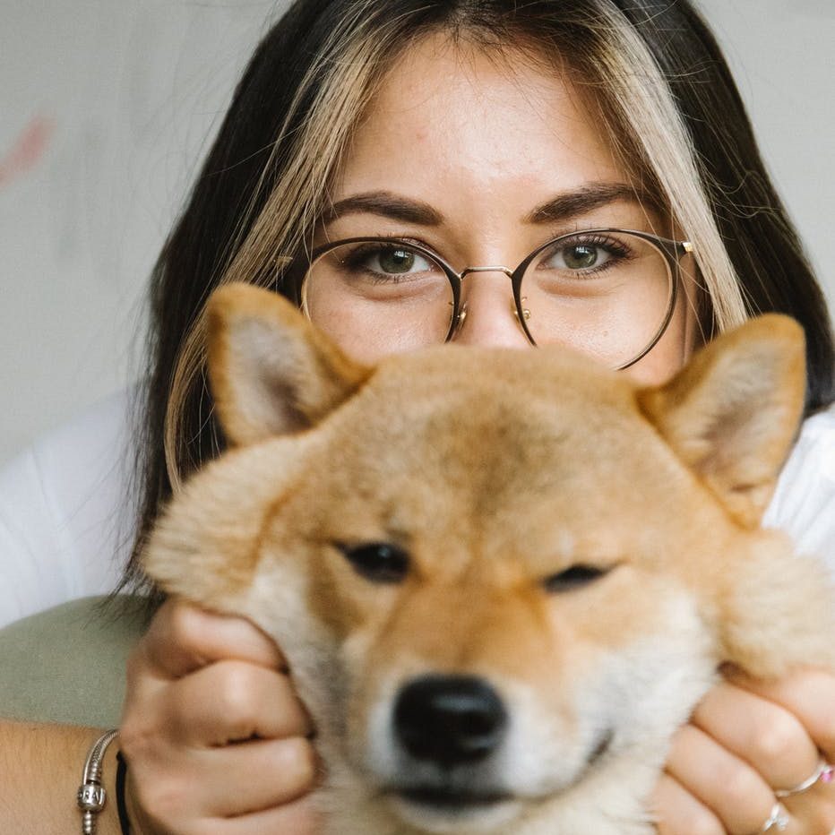 content woman caressing purebred dog muzzle in light room