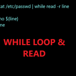 Bash Script While Loop Read Membaca Baris