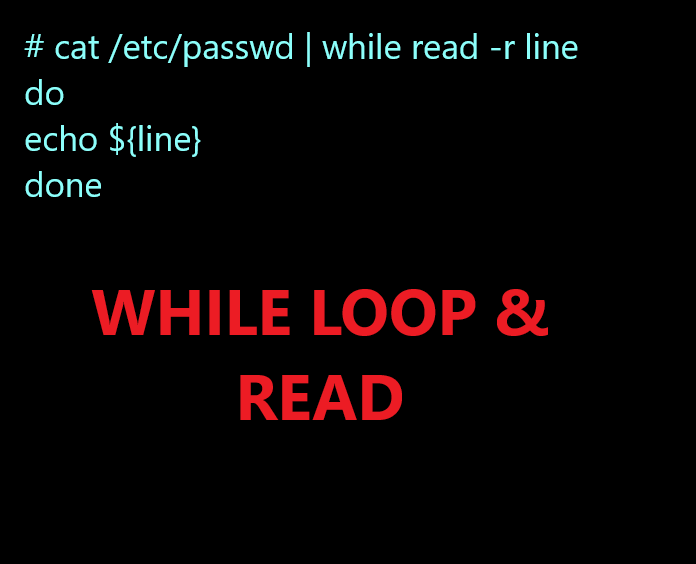 Bash Script While Loop Read Membaca Baris