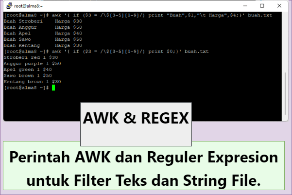 Perintah AWK dan Regular Expresion untuk Filter Teks dan String File.