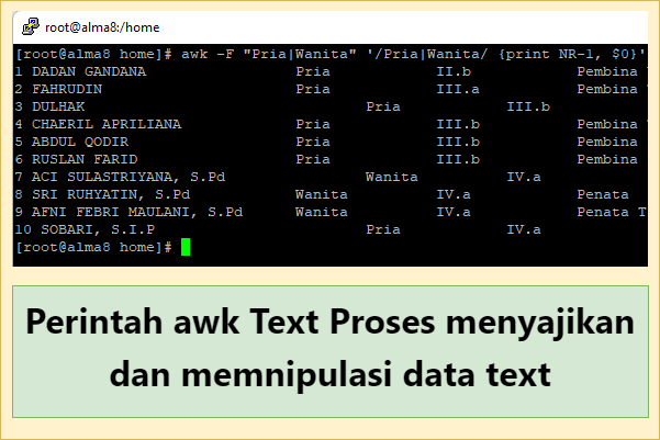 Perintah awk Text Proses menyajikan dan memanipulasi data text