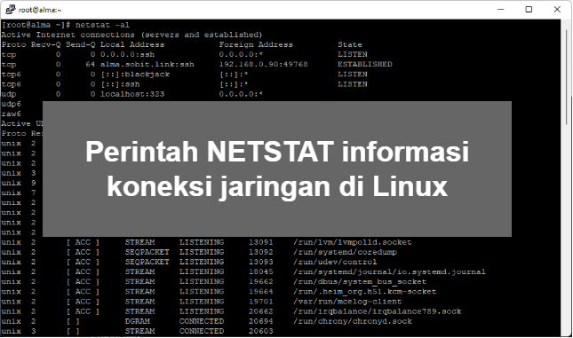 Perintah netstat informasi koneksi jaringan di Linux