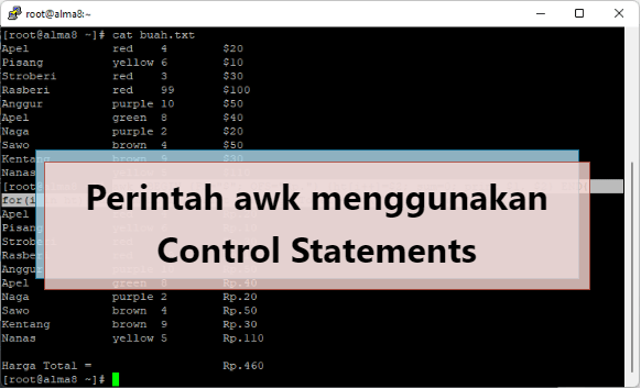 Perintah awk menggunakan Control Statements for, if, while, next, break, dll