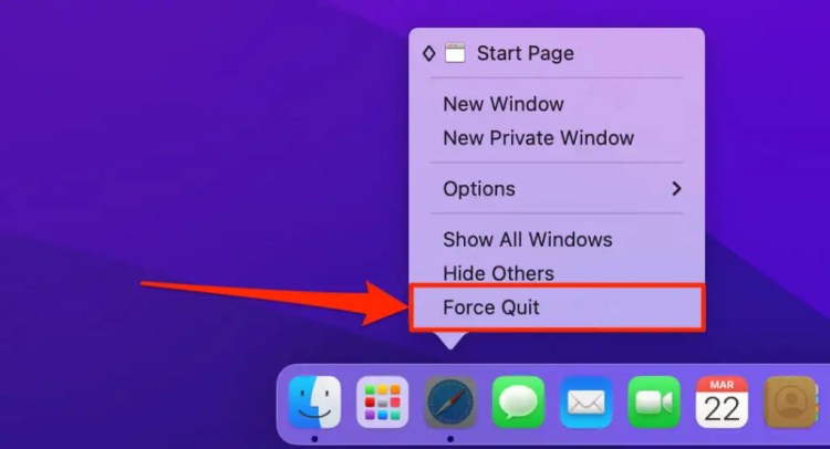 force quit app on Mac