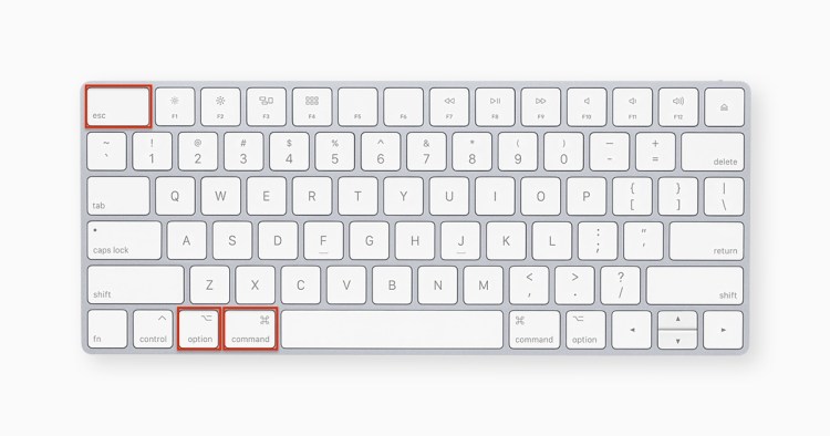 force quit app on Mac