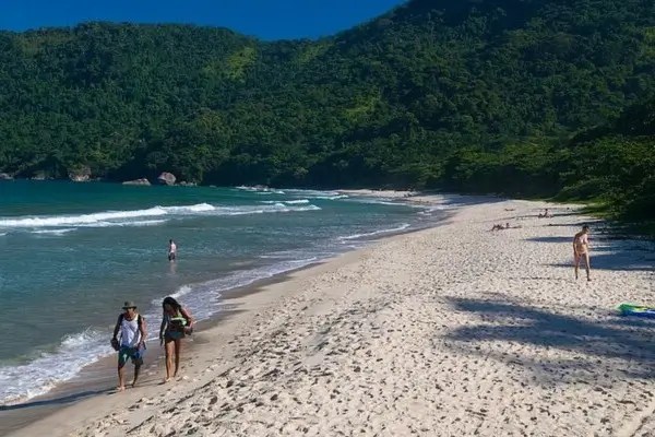 Descubra os Melhores Refúgios Naturais do Brasil
