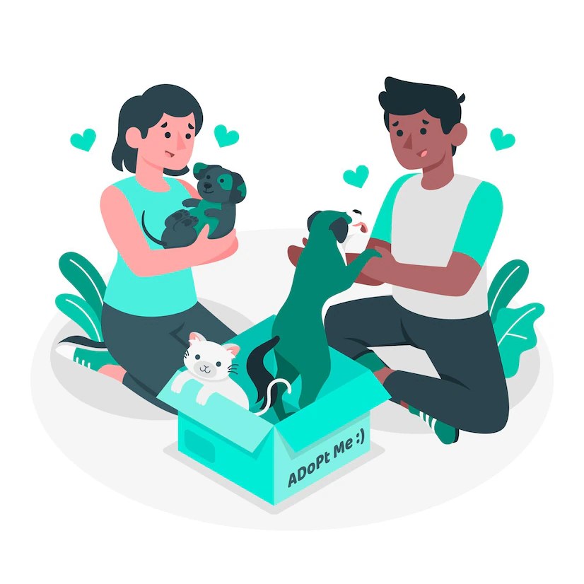 Animal Rescue Business Plan free template