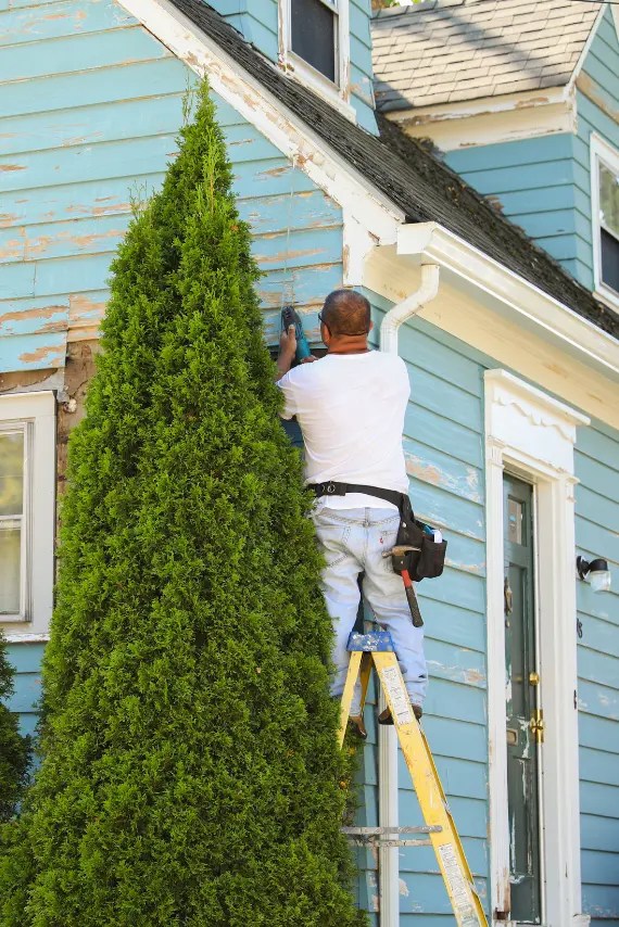 Cleaning Service in Port Coquitlam