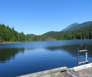 Malcolm Knapp Research Forest