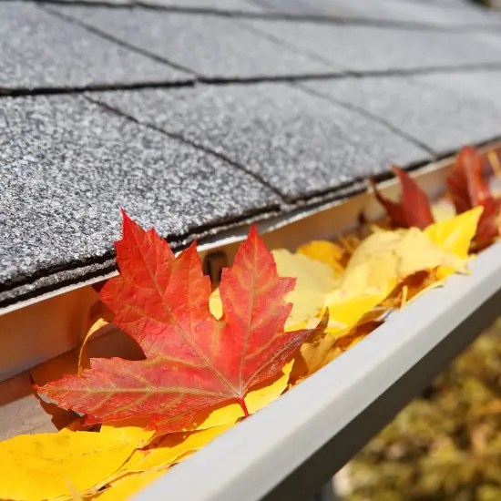 Gutter Cleaning in Abbotsford