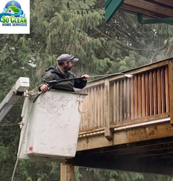 pressure washing Abbotsford