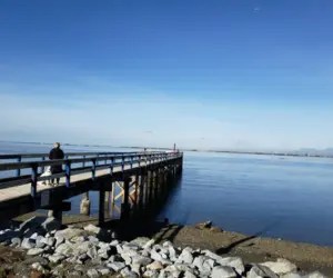 Blackie Spit surrey BC