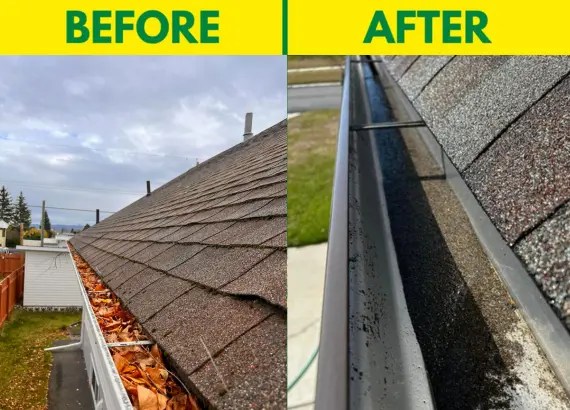 Gutter Cleaner in Port Coquitlam