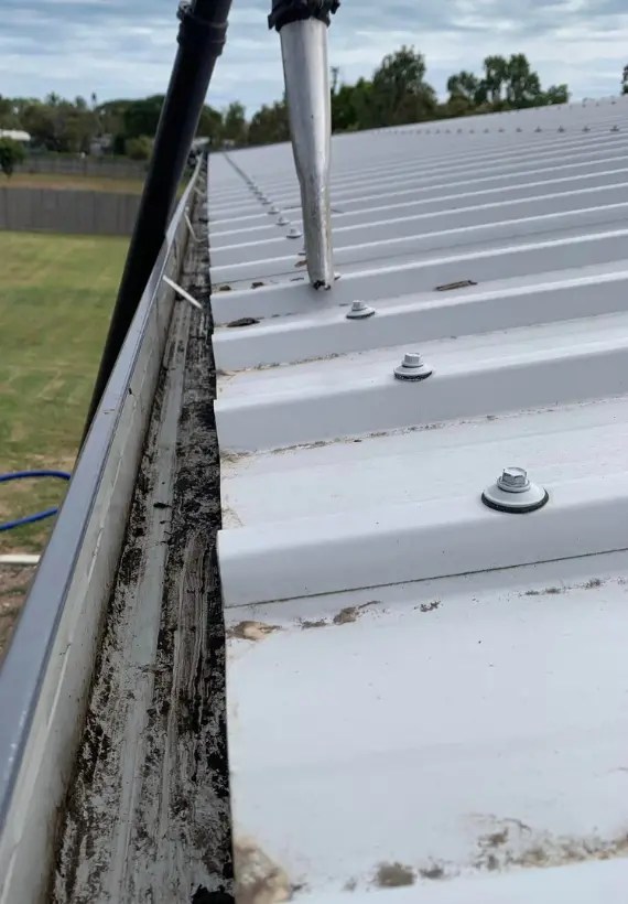 Gutter Cleaning service Pitt Meadows