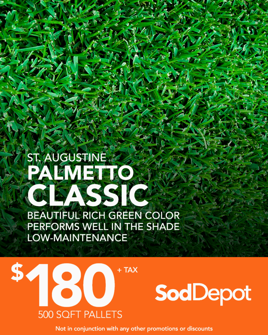 A green grass field with the words st. Augustine palmetto classic on it