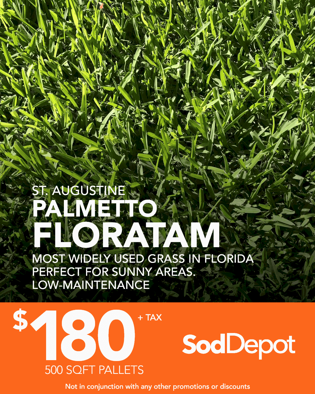 A close up of some grass with the words " st. Augustine palmetto floratam " on it