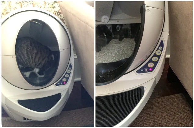 Introducing the robot litter box that you need now