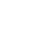 icon-image