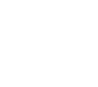 icon-image