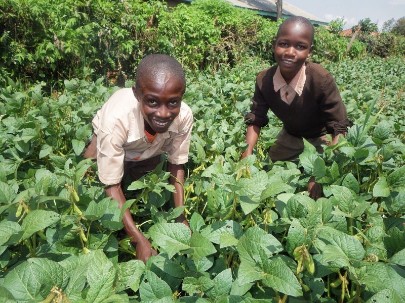 Sofdi School Out - Best Abstract Pictures in Full HD