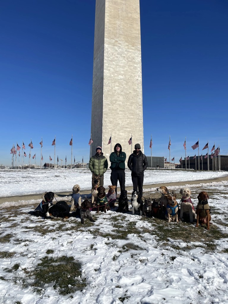 Team on an Adventure Trip From Raleigh to DC