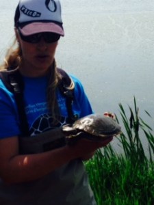 Wascana Marsh