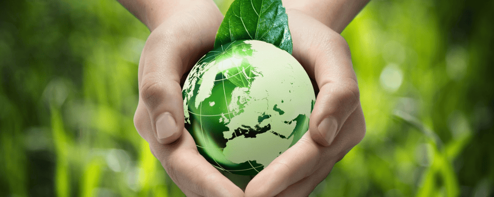 Jornal Público • Um futuro natural