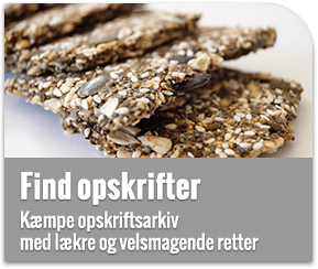 Lowcarb.dk opskrifter