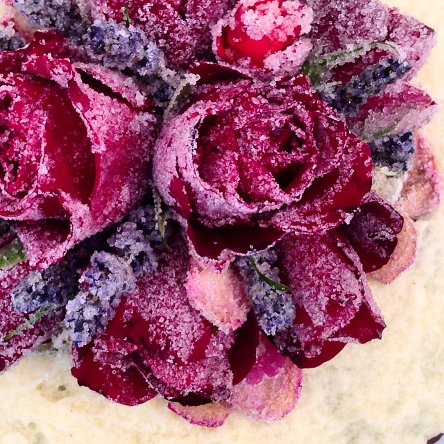 schokotorte mit champagnerbuttercreme