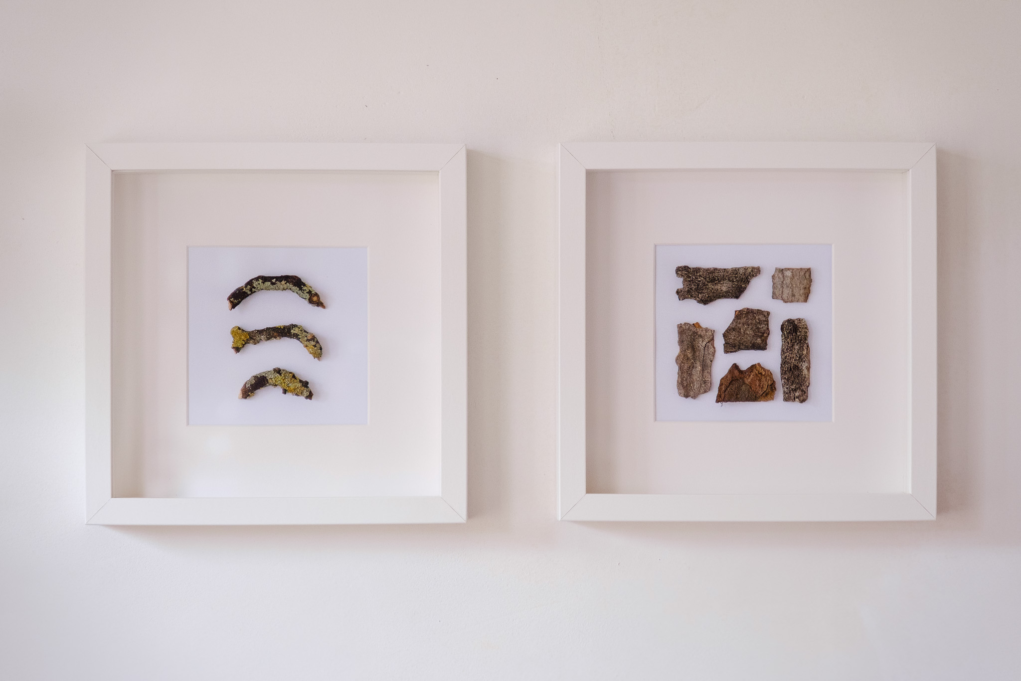 Framed Nature Art – Tree Bark and Lichen Stick Pair | Handmade Organic Wall Art by Sofie Redfern