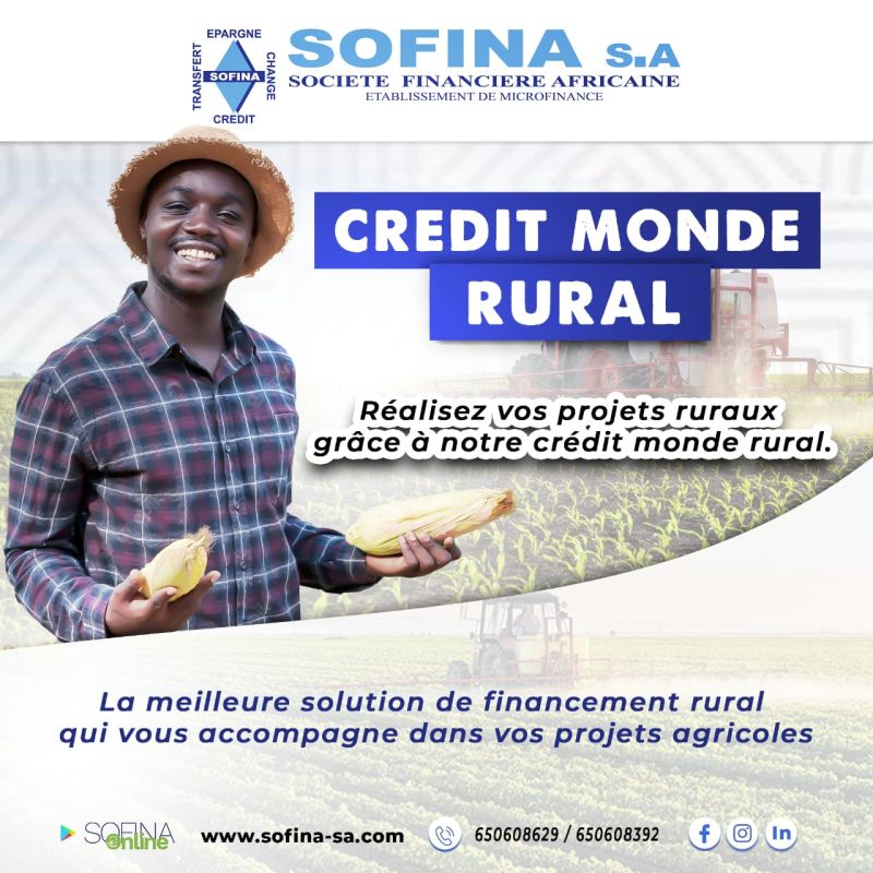 Sofina Sa - Download Premium Vintage Pattern | 4K