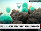 Potential Cancer Treatment Breakthrough Sofislife Corporation